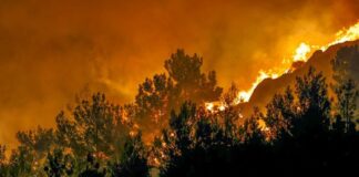 Πύρινος εφιάλτης στη Ζάκυνθο: Ανοιχτά μέτωπα σε Βόνιτσα, Άρτα, Πρέβεζα, Αχαΐα