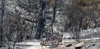 Η Πολιτική ‘Αμυνα διαψεύδει ότι η Διοικήτριά της βρισκόταν σε παραλία κατά τις φωτιές
