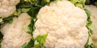 Απίστευτα τα οφέλη του ανθρώπινου οργανισμού από το κουνουπίδι: Γιατί χρειάζεται προσοχή στην υπερβολική κατανάλωση