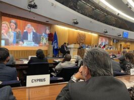 Μεγάλη επιτυχία η επανεκλογή της Κύπρου στο Συμβούλιο του ΔΝΟ