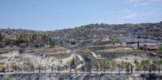 Καταβλήθηκε στην Κύπρο η προκαταβολή €2,3 εκ. για ενίσχυση από Ταμείο Αλληλεγγύης ΕΕ για τις πυρκαγιές 2025