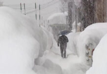Ιαπωνία: Τουλάχιστον 30 νεκροί λόγω σφοδρών χιονοπτώσεων