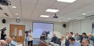 Ανησυχία Βουλευτών για επάρκεια ηλεκτρισμού μετά το 2030 λόγω Βασιλικού