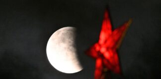 Ολική έκλειψη ηλίου: Γιατί οι μέλισσες… πέφτουν και τα δέντρα ρίχνουν τα φύλλα τους