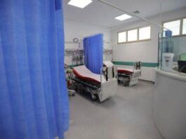 Τέσσερα επιβεβαιωμένα περιστατικά ιού Δυτικού Νείλου στην Κύπρο