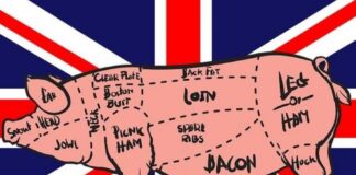 Φίμωση των πάντων στη Βρετανία – Τον συνέλαβαν… επειδή είπε «αγαπώ το μπέικον»