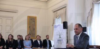 Γεραπετρίτης: Να υπάρξει αδιαμφισβήτητη στήριξη από Κύπρο για το καλώδιο