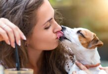 Οι ειδικοί προειδοποιούν: Μην φιλάτε το σκυλί σας στο στόμα – Ελλοχεύει σοβαρός κίνδυνος για την υγεία σας