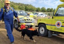 Η Πυροσβεστική διέσωσε δύο 18χρονους από χαράδρα