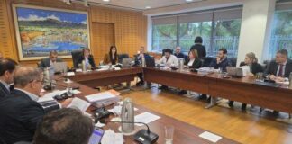Θετική η προοπτική οικονομίας περιβάλλεται όμως από αβεβαιότητα, λέει η Ερωτοκρίτου