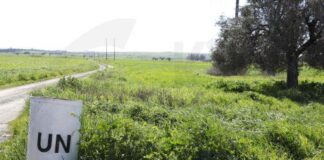 Καταγγελίες προέδρου Συμπλέγματος Κοινοτήτων Τηλλυρίας για την απόλυση 230 ΣΕΑ που φρουρούσαν την πράσινη γραμμή