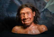 Νεάντερταλ άνδρες – γυναίκες Homo Sapiens: Η επιμειξία ενός μυστικού σεξ που έγραψε ιστορία… μέχρι σήμερα στο DNA μας