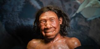 Νεάντερταλ άνδρες – γυναίκες Homo Sapiens: Η επιμειξία ενός μυστικού σεξ που έγραψε ιστορία… μέχρι σήμερα στο DNA μας