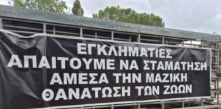 Τον τερματισμό της μαζικής θανάτωσης ζώων ζητούν κτηνοτρόφοι έξω από το Προεδρικό