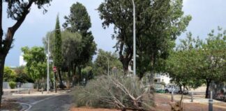 Πτώσεις δέντρων, αντικειμένων και ζημιές σε οχήματα από τα έντονα καιρικά