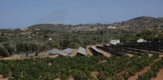 Πρόταση νόμου απαγορεύει τοποθέτηση φ/β σε γεωργική γη εκτός για γεωργοκτηνοτροφικό τομέα