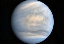 Ανακαλύφθηκε ζωή στην Αφροδίτη… Το συγκλονιστικό μυστικό της πανσπερμίας