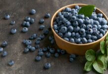 Μύρτιλα: Γιατί θεωρούνται «υπερτροφή» – Τα πολλαπλά οφέλη που έχουν για την υγεία