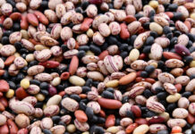 Τα οφέλη που έχουν τα όσπρια: Μειώνουν τη χοληστερόλη και τις φλεγμονές