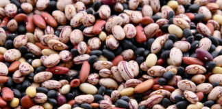 Τα οφέλη που έχουν τα όσπρια: Μειώνουν τη χοληστερόλη και τις φλεγμονές