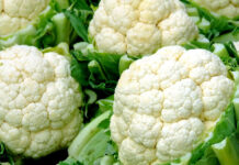 Αυτά είναι τα οφέλη που έχουν για την υγεία το λάχανο και το κουνουπίδι