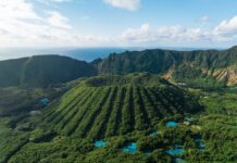 Χωριό στην Ιαπωνία χτίστηκε μέσα σε ηφαίστειο: Δείτε πώς ζουν οι κάτοικοι (βίντεο)