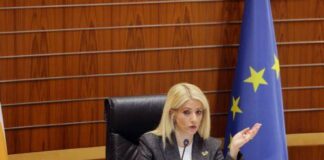 Α. Δημητρίου: Πάνω από 1.000 νομοσχέδια και 4 μεγάλες μεταρρυθμίσεις στη θητεία της Βουλής