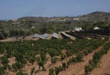 Η Βουλή απέρριψε την αναπομπή για απαγόρευση ΑΠΕ σε γεωργική γη