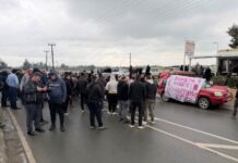 Αγροτικές οργανώσεις ζητούν από ΠτΔ να θέσει θέμα χαλάρωσης πρωτοκόλλου για θανατώσεις ζώων