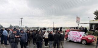 Αγροτικές οργανώσεις ζητούν από ΠτΔ να θέσει θέμα χαλάρωσης πρωτοκόλλου για θανατώσεις ζώων