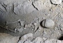 Η στιγμή που αφανίστηκε όλη η ανθρωπότητα… εκτός από 1.000 άτομα