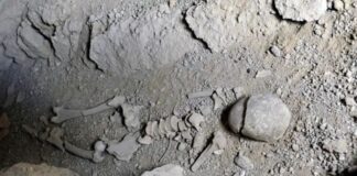 Η στιγμή που αφανίστηκε όλη η ανθρωπότητα… εκτός από 1.000 άτομα