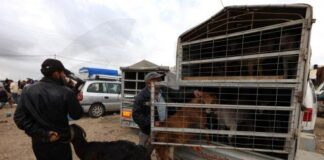 H Πρεσβεία της Παλαιστινιακής Αρχής συγχαίρει τα κόμματα της νέας Βουλής