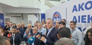 Αυτό που έχει πετύχει το ΔΗΚΟ είναι ένας άθλος δήλωσε ο Ν. Παπαδόπουλος