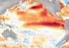 Θα εμφανιστεί τον Ιούλιο το «Super El Niño»; – Κίνδυνος να «πέσει» το διαδίκτυο παγκοσμίως