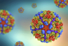 Chikungunya: Ο ιός που απειλεί την Ευρώπη – Πώς μεταδίδεται και ποια τα συμπτώματά του