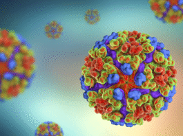 Chikungunya: Ο ιός που απειλεί την Ευρώπη – Πώς μεταδίδεται και ποια τα συμπτώματά του