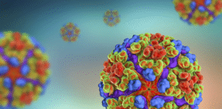 Chikungunya: Ο ιός που απειλεί την Ευρώπη – Πώς μεταδίδεται και ποια τα συμπτώματά του