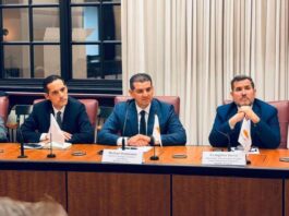 Εκπρόσωπος: Πολιτικής και γεωστρατηγικής σημασίας η συνεργασία 3+1 για ενέργεια