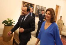 Χριστοδουλίδης:«Καθοριστικής σημασίας» οι εβδομάδες μέχρι επιστροφή Ολγκίν στην Κύπρο