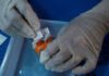 Περισσότεροι από 80.000 άνθρωποι στην Κύπρο ζουν με κάποια μορφή Χρόνιας Νεφρικής Νόσου