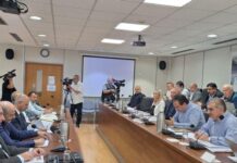 Ανησυχία Βουλευτών για επάρκεια ηλεκτρισμού μετά το 2030 λόγω Βασιλικού