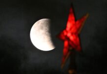 λική έκλειψη ηλίου: Γιατί οι μέλισσες… πέφτουν και τα δέντρα ρίχνουν τα φύλλα τους