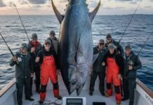 Τόνο… τέρας 506 κιλών έπιασαν Αμερικανοί ψαράδες στα δίχτυα τους, καταρρίπτοντας ιστορικό ρεκόρ