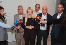 Ανατροπές στο ΔΗΣΥ:Η Αννίτα Δημητρίου απέσυρε την υποψηφιότητα της για το χρίσμα της προεδρίας